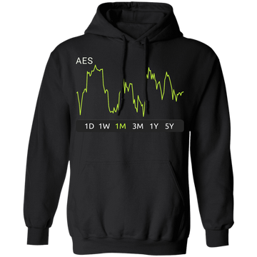 AES Stock 1m Pullover Hoodie